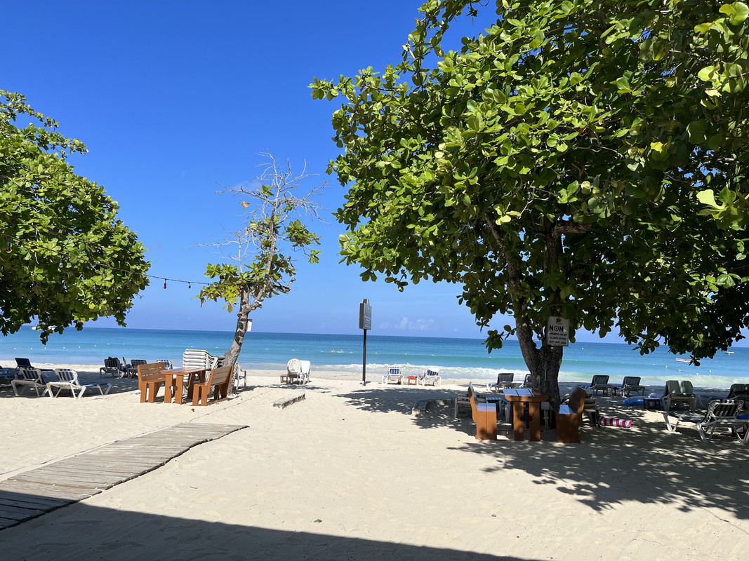 7AFC4C6D-73DD-4D34-9B0A-64C6D9739649