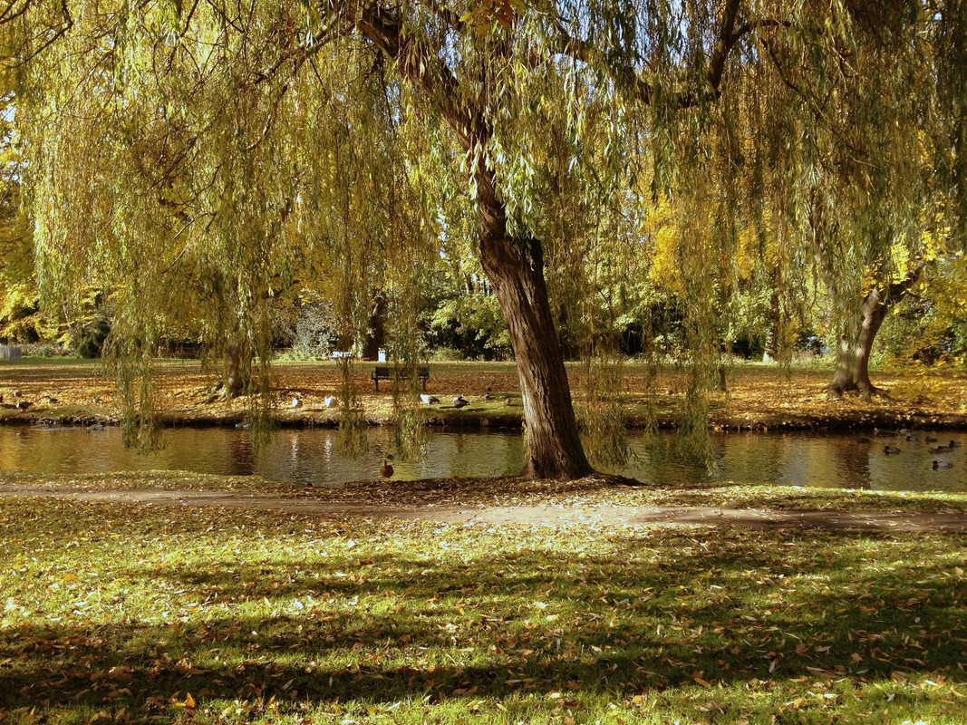 IMG-0033.jpg