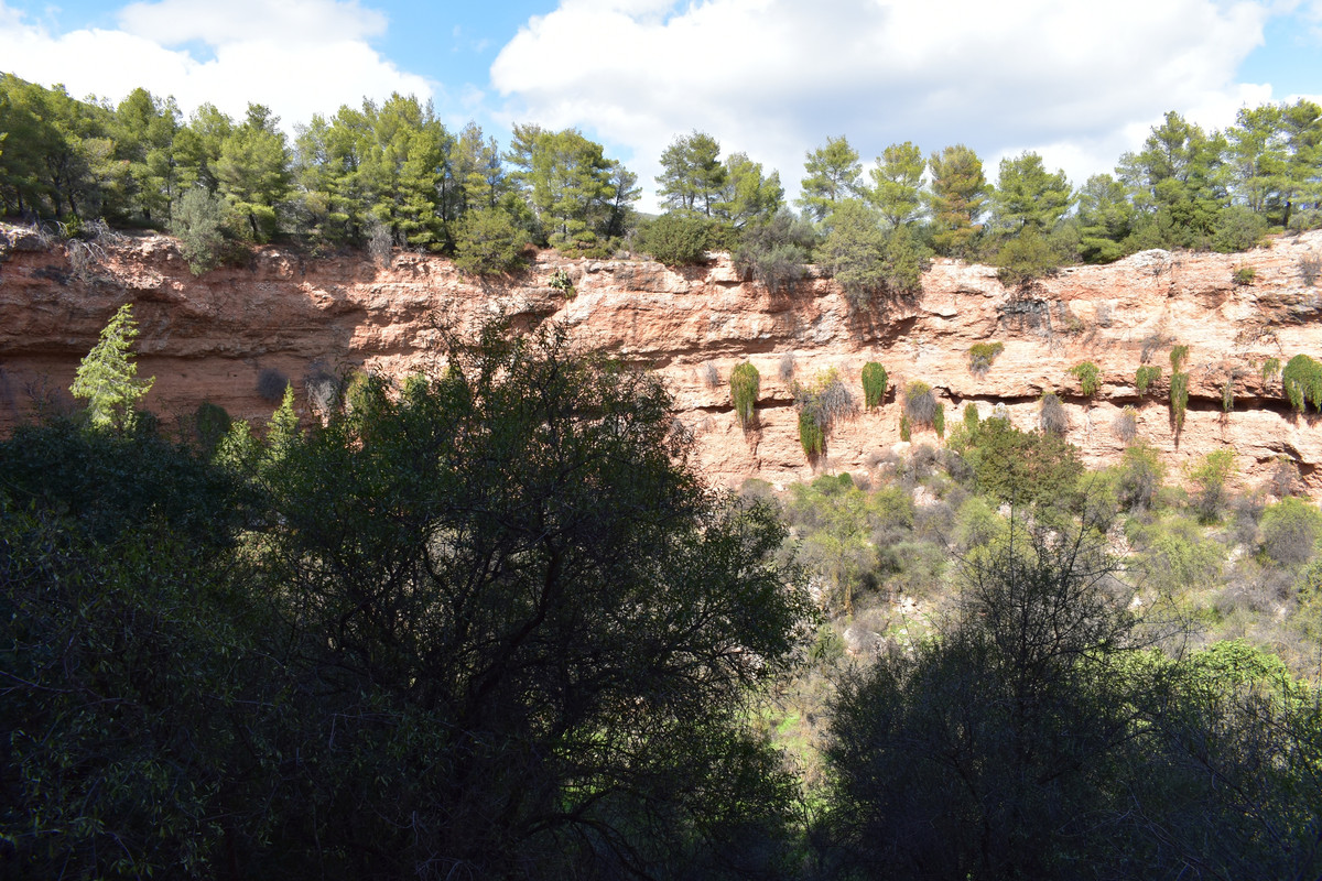 Σπήλαια Διδύμων