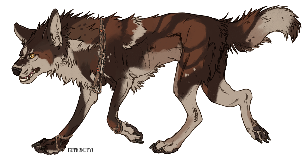 Wolf-Design-1-copy.png