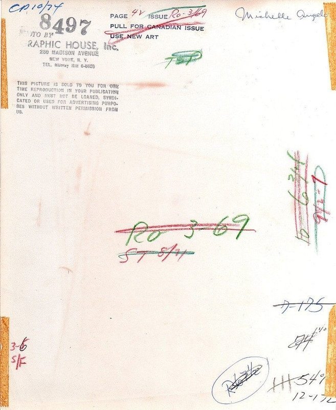 Michelle Angelo back