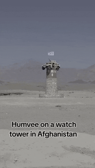https://i.postimg.cc/tTNYM3Wf/video-2026-08-13-07-00-44-(1).gif