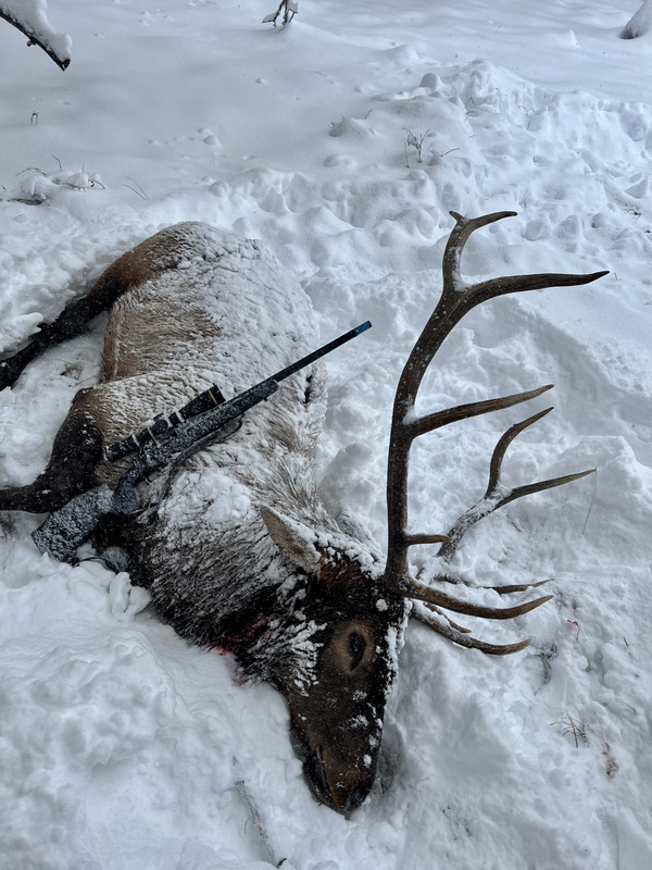 6E11BC4E-B749-40EB-8517-8EA47DE93C10