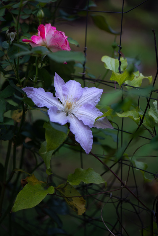 IMG-b0b7155384b3a848a4ddd1ac25c33da3-V