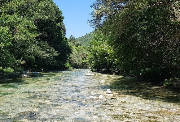 Slika