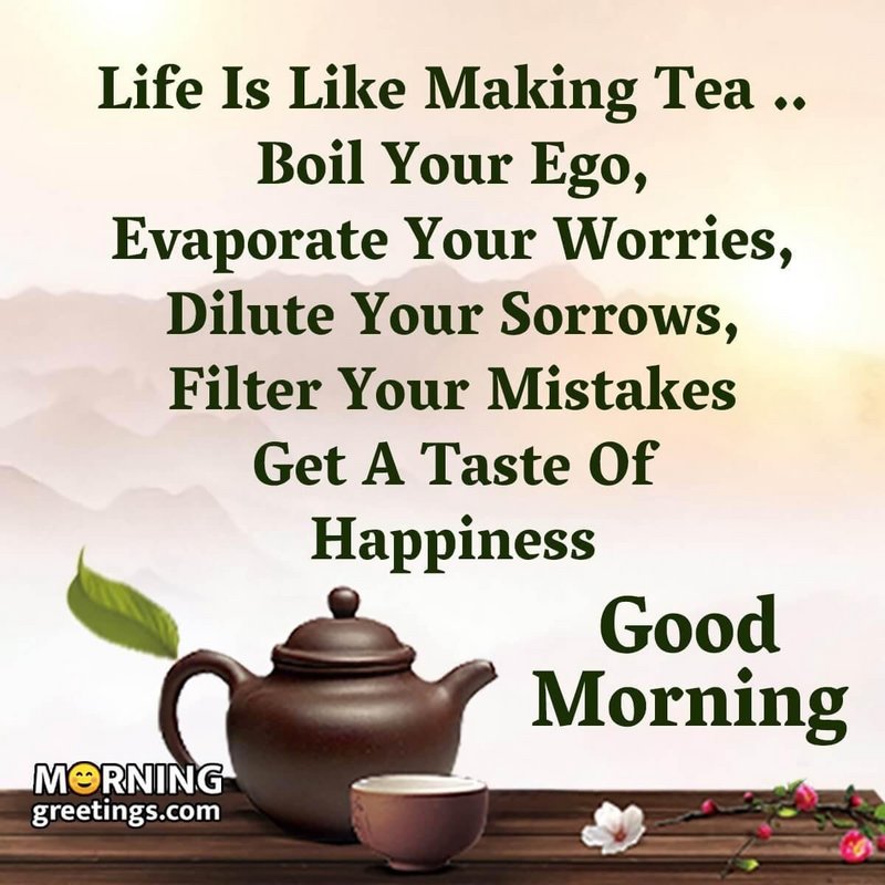 [Image: F64-E177-E-068-F-4985-8-AAC-276-A5-CD2-CE73.jpg]