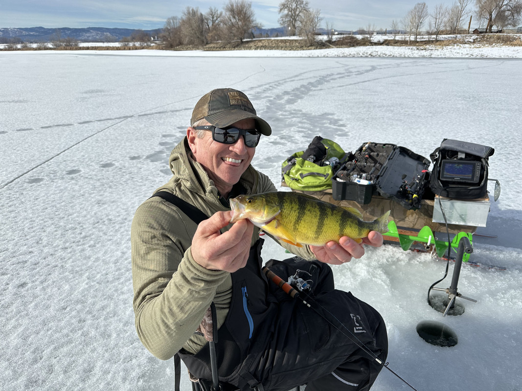 74E54305-FBF6-4502-80D7-D13E61A7ACFF