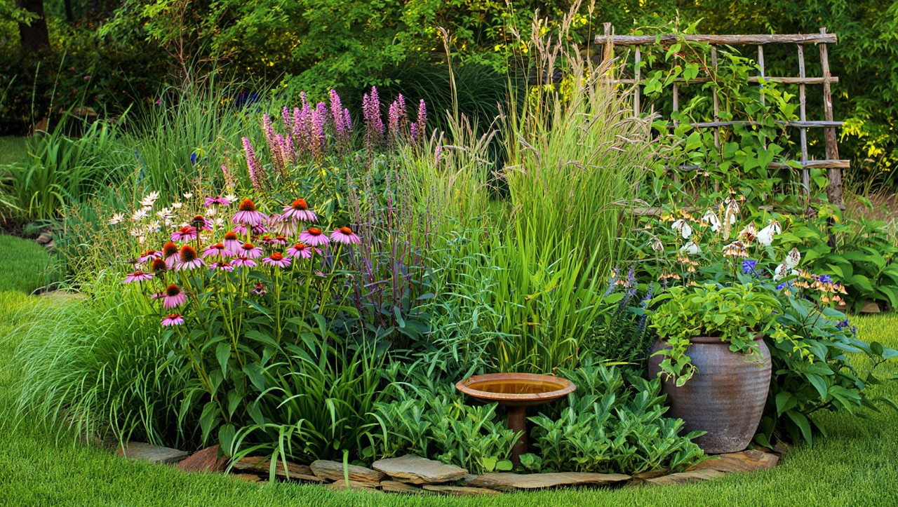Ландшафтный дизайн дачи с неприхотливыми многолетними растениями