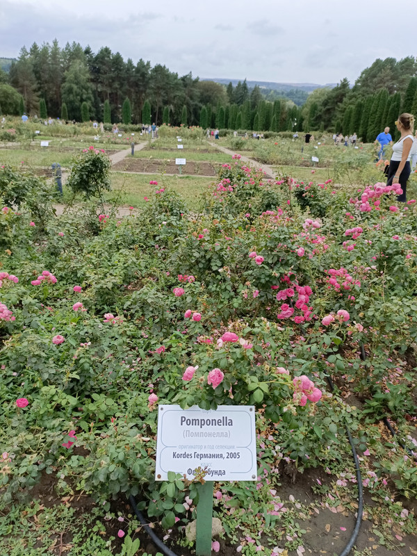 IMG_20240824_132036_883