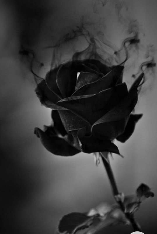 Screenshot_20230102_144626_Chrome