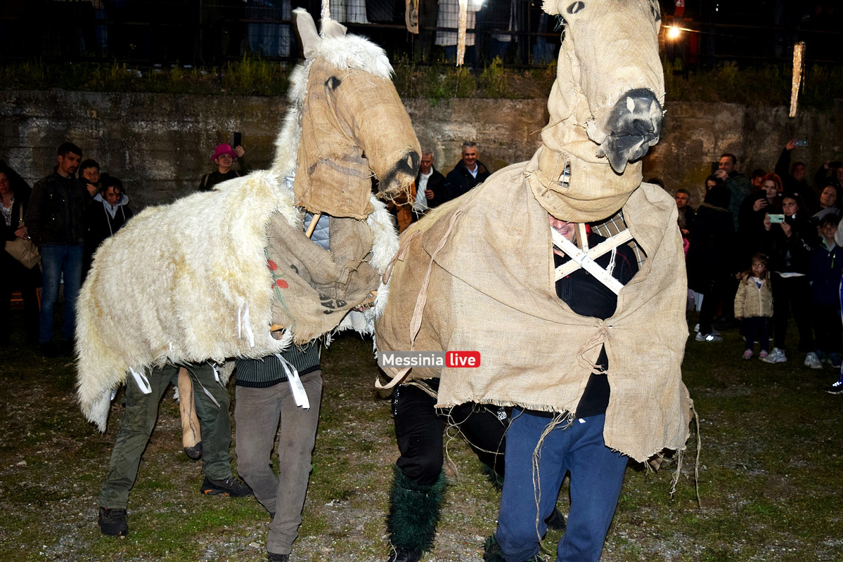 ελαιοχωριDSC_0665