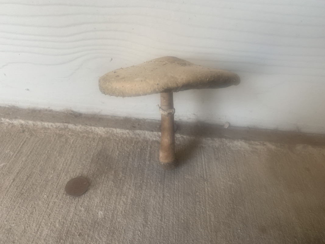 6BFEDD37-4437-4D0D-8639-833B5FC19973