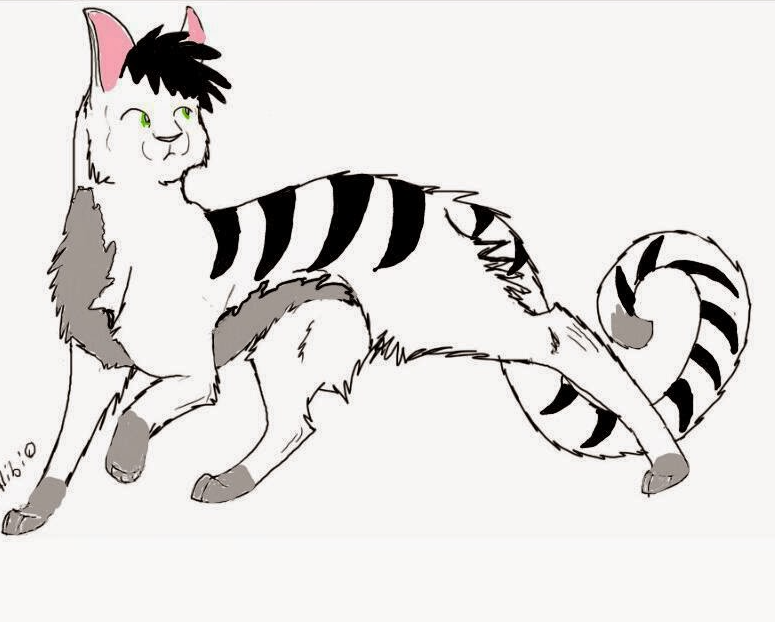 image.png