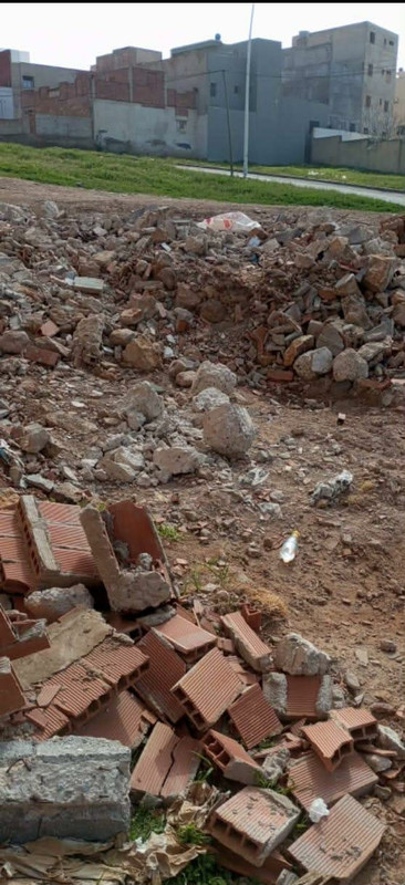 665350455-922501693997476-7065853164923871875-n