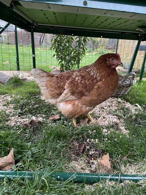 481B04F3-058A-4E26-BEA7-D83E45B47B4A