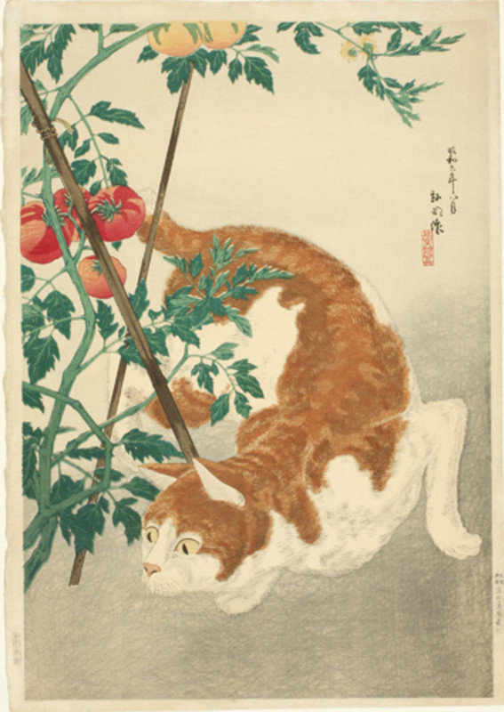 Shotei-Takahashi-No-Series-Brown-Cat-And-Tomato-Plant-variant-1-00042875-110329-F12