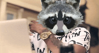 IMG-7104.gif