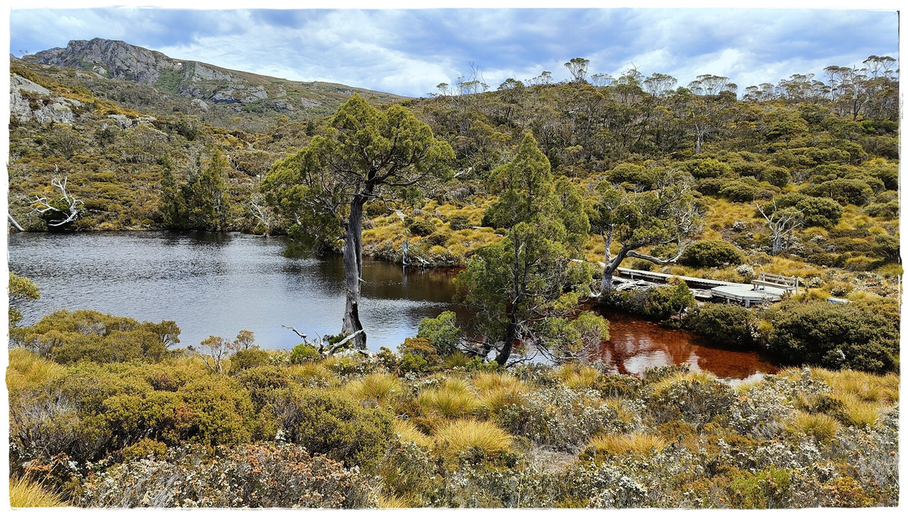 Cradle Mountain National Park - Australia (II): Recorriendo Tasmania (37)