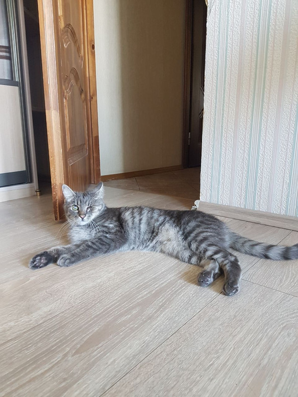 C36A015E-9E0B-4121-8D4E-3BD21E1F3853