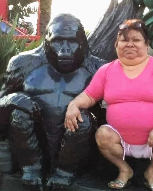 668.jpg