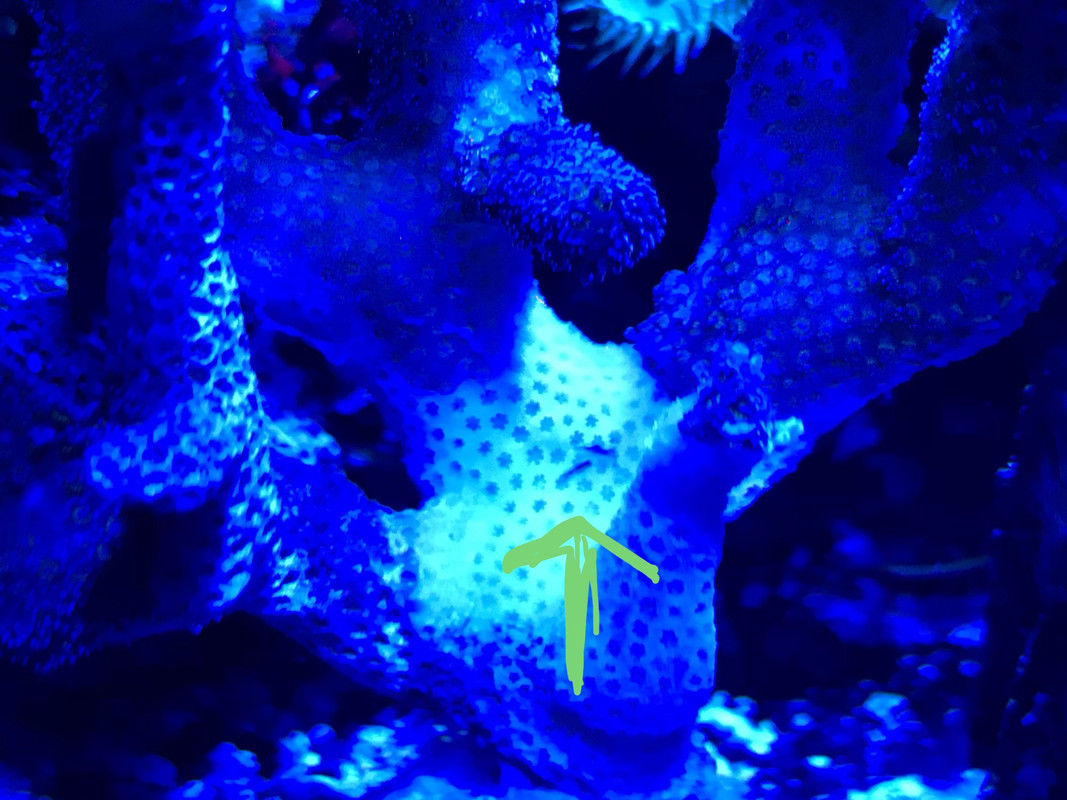 9B14A9C3-B33B-48D3-8BA6-DA3A9D4BFDDB