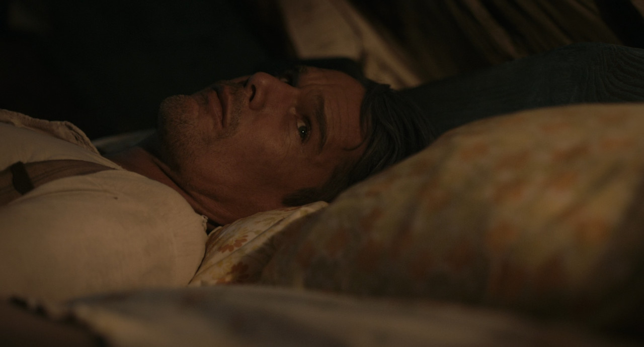 Maudie 2016 (1080p x265 10bit Tigole).mkv_snapshot_01.29.51_[201