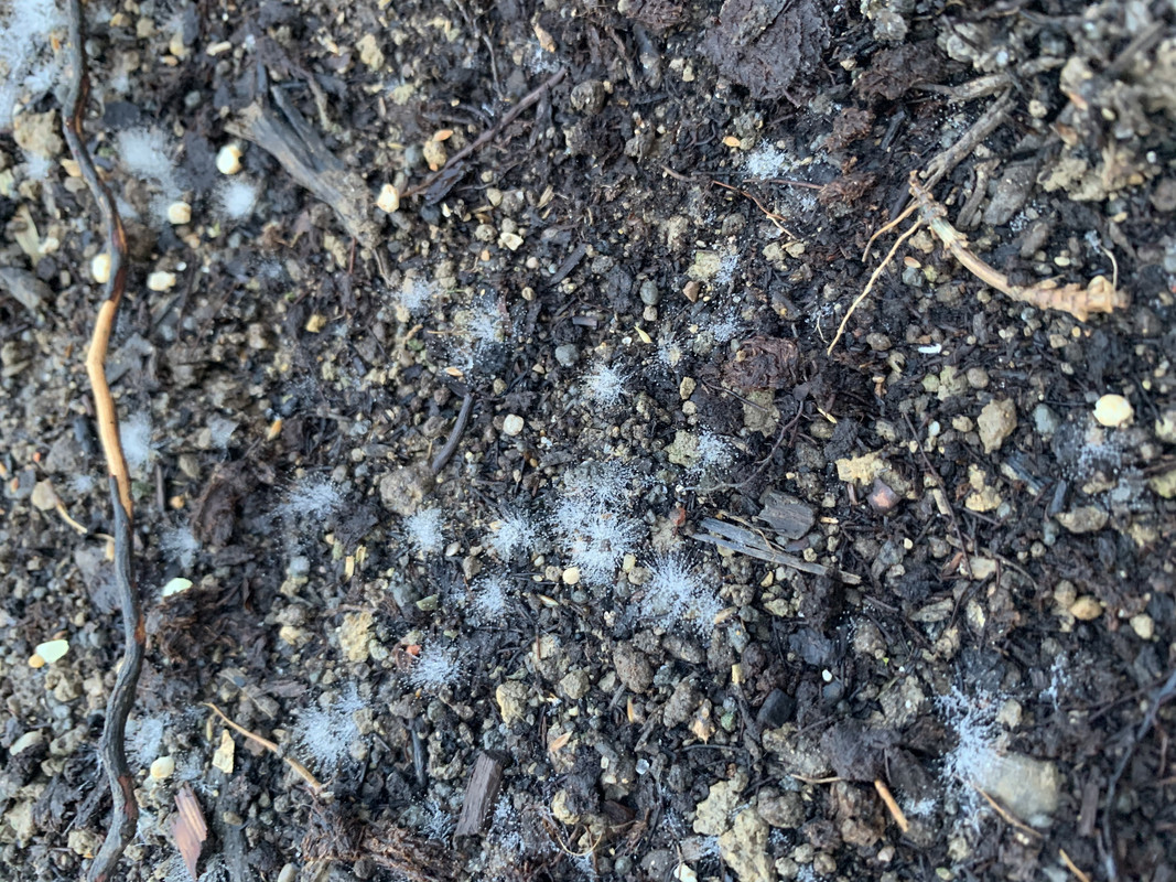 533F8113-12A2-4812-8C19-ACD91B44453F