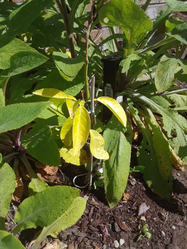 20190506_101418