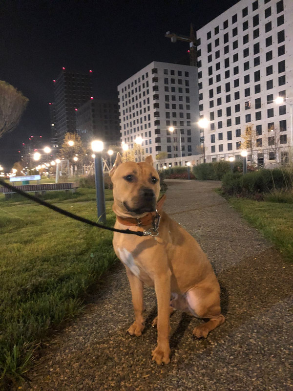 E32ED66A-FF81-4393-AC82-ED2AEF9174FC