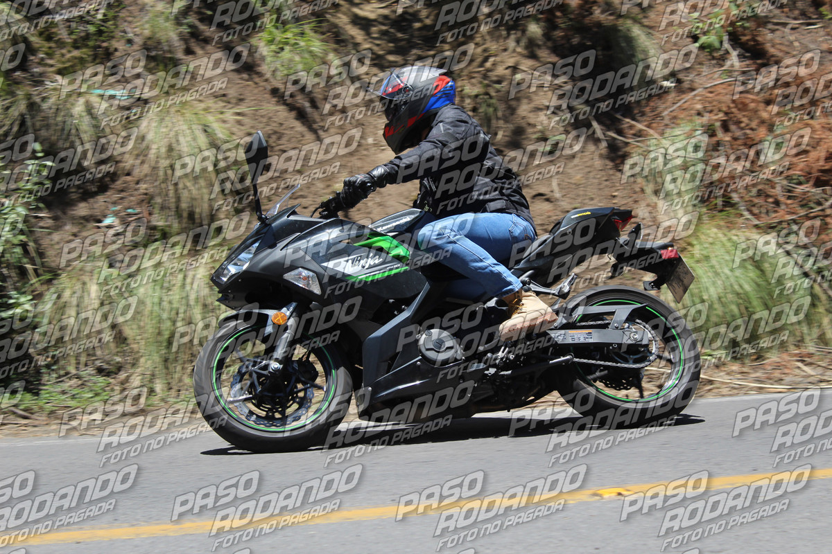 IMG_8737-wm-7138755.9_watermarked