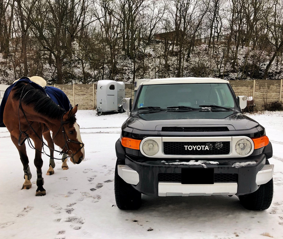 509E9A17-4FE9-4B3B-A5B6-5EF9CDF4CA06