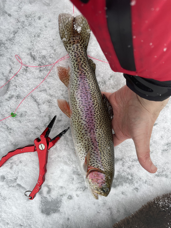 837018FB-5915-40D5-8F73-D287ED12A810