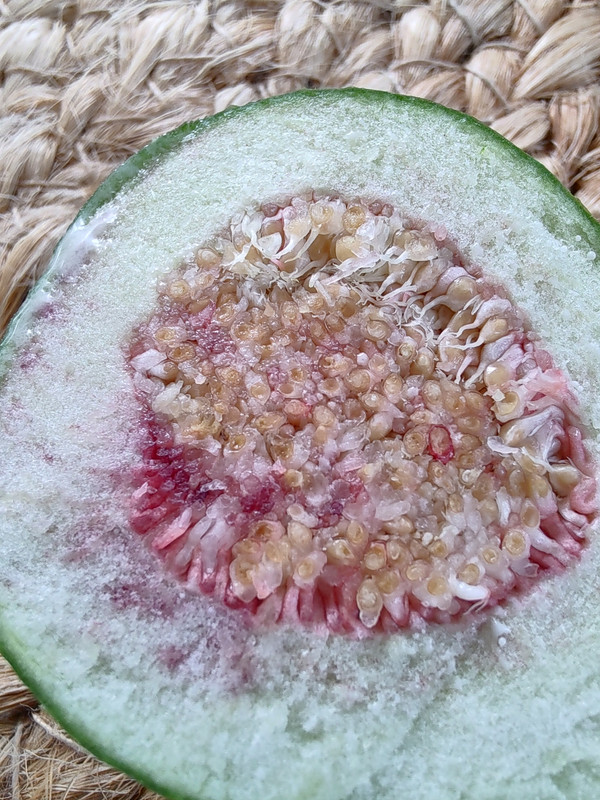 IMG_20230610_104735615_HDR