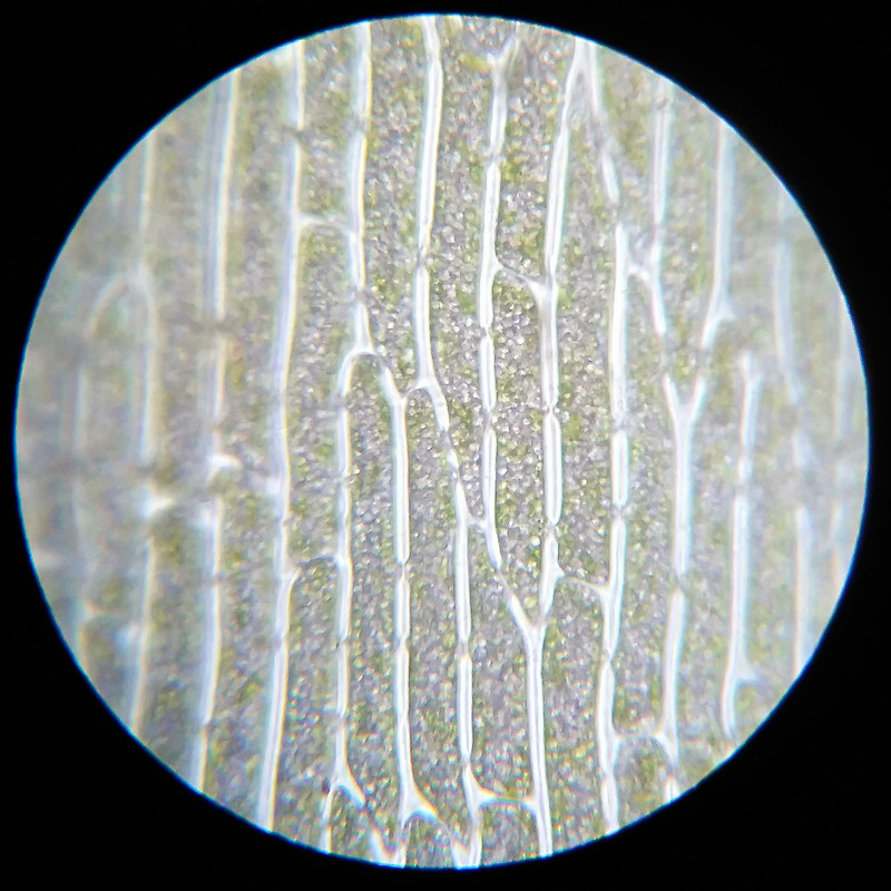 IMG 20250614 112748 HDR