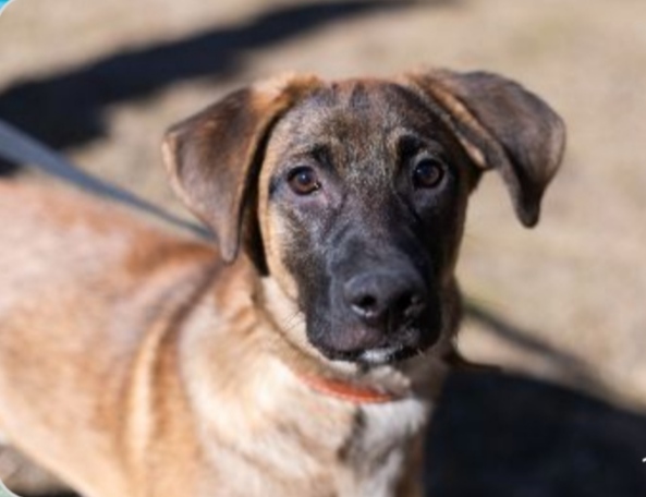 IMG-05a7d6c6f57a06e69c645d3edc63cec9-V