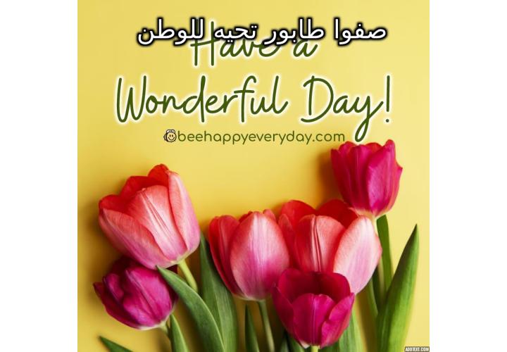 ���� ���� ������ �� ���� ������