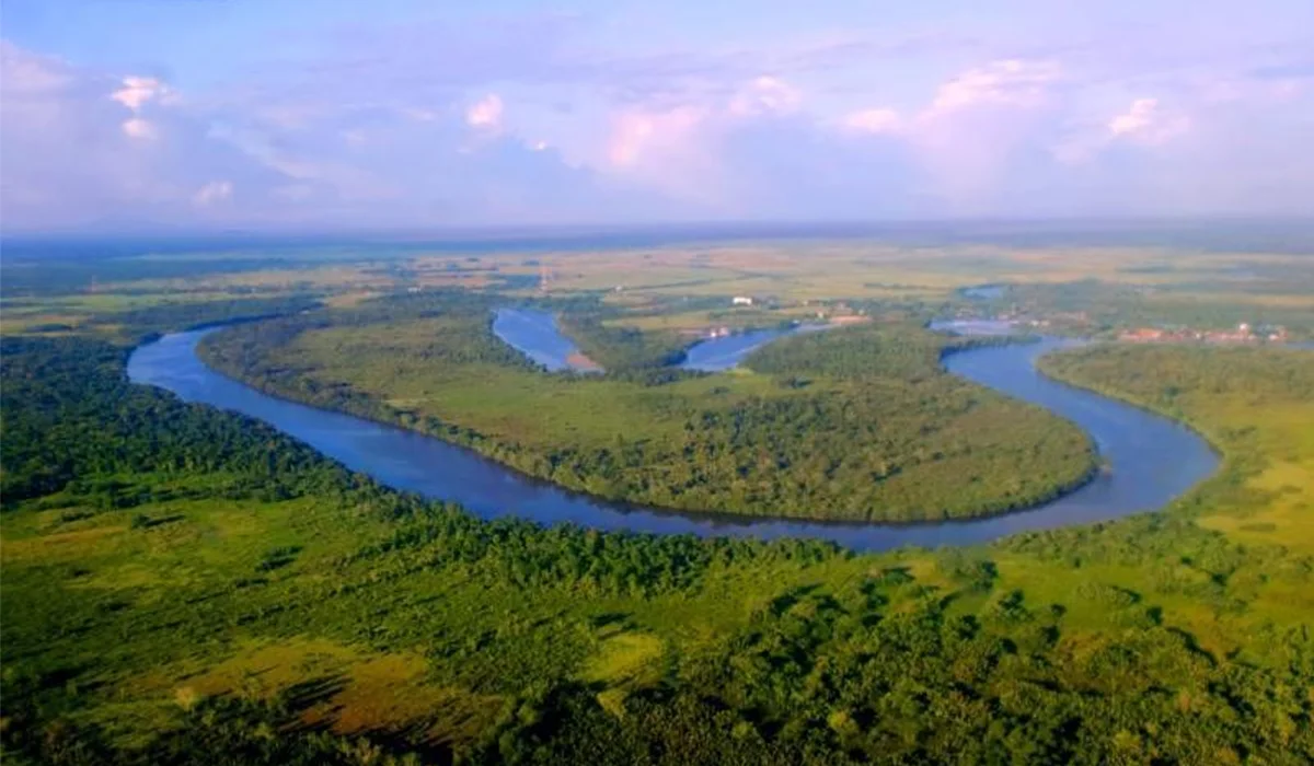 Petualangan Sungai dan Hutan di Kalimantan