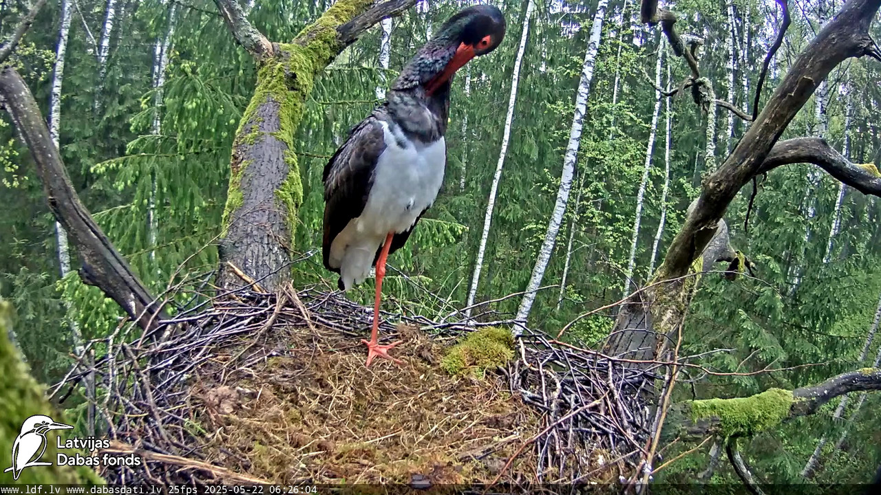 vlcsnap-2025-05-22-08h21m57s239