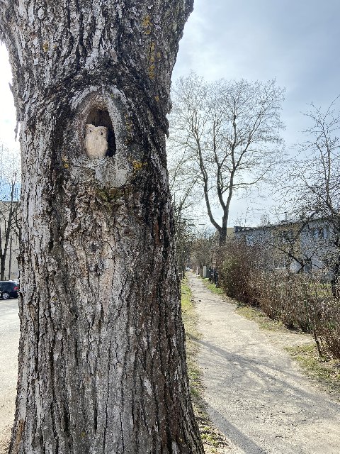 902-E15-B2-010-C-4199-9-E17-3-FCB220-AA2