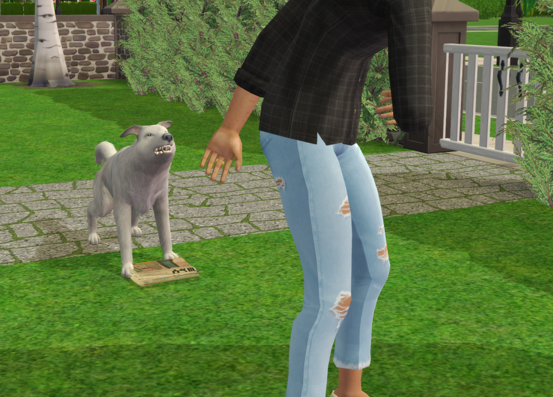 Sims2-EP9-RPC-2024-01-11-20-15-29-46