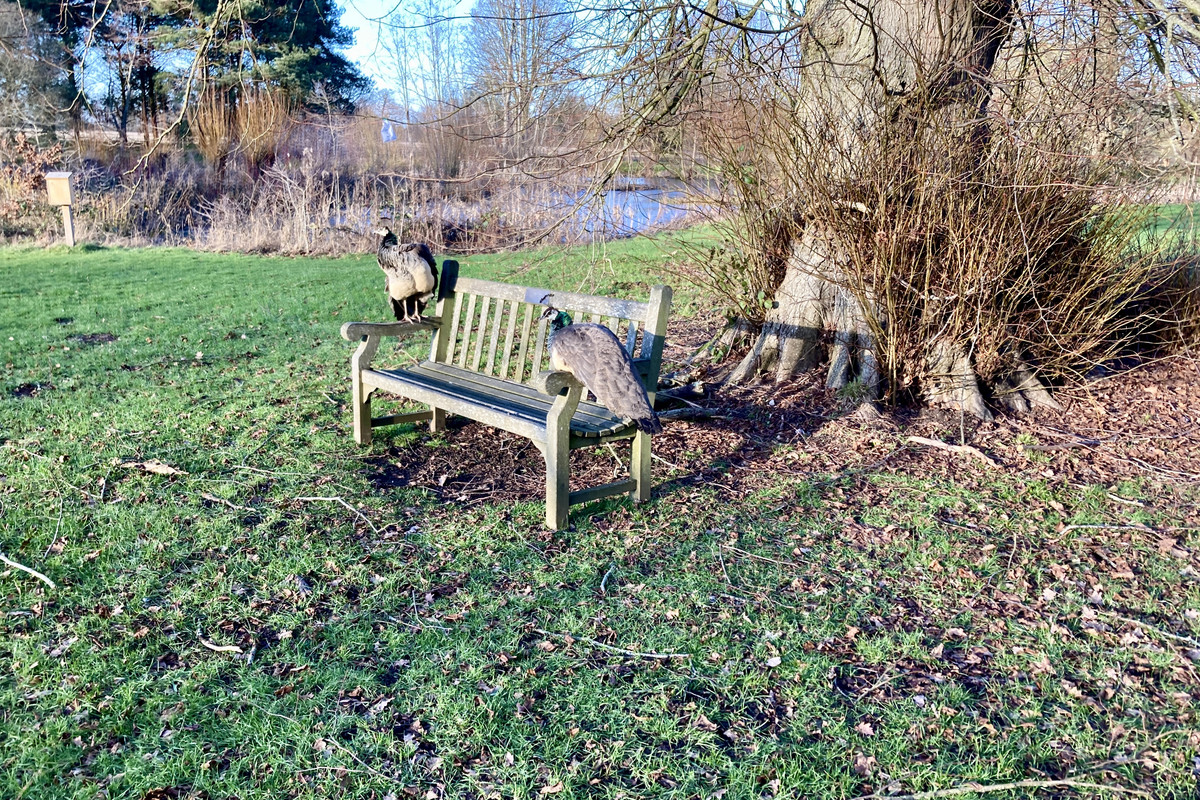 AFBF27DB-31FC-448C-856F-86E675819402