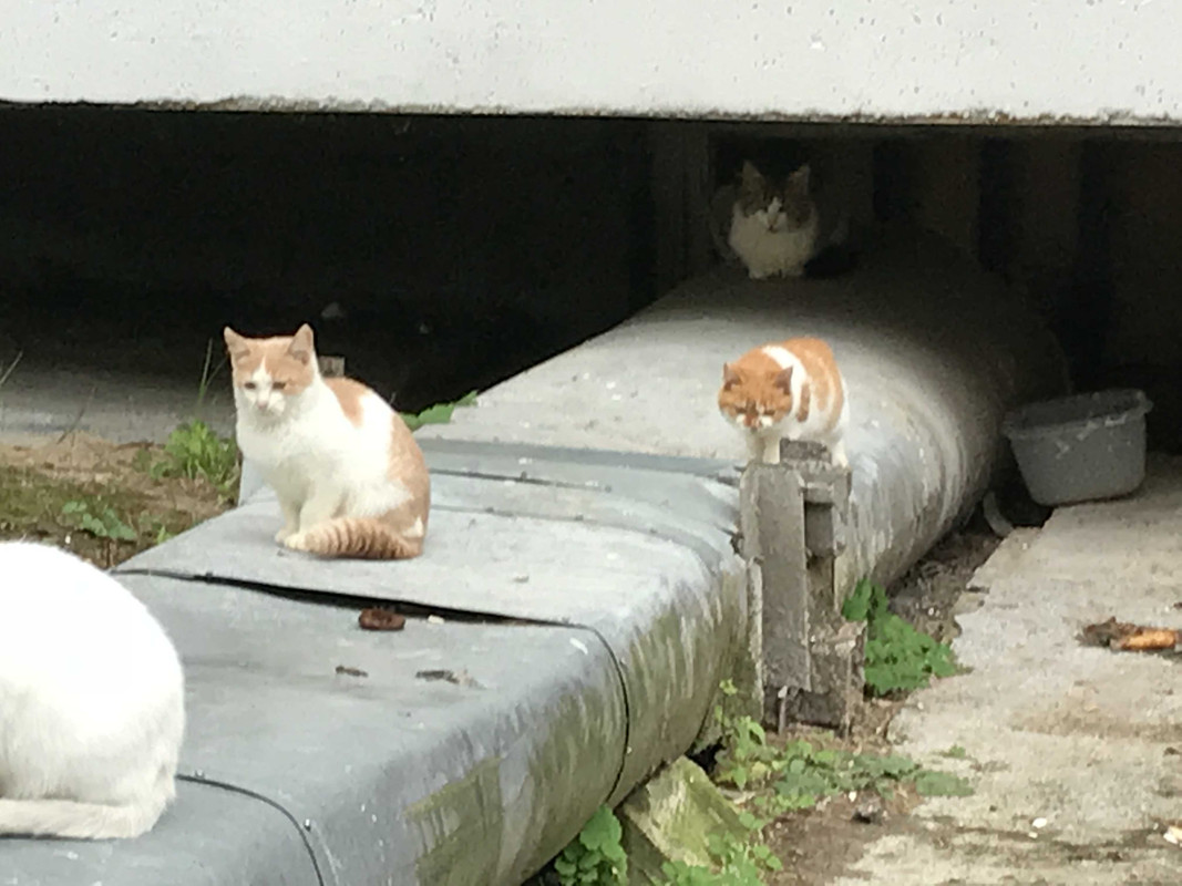 Выбрали? позвоните+375-33-602-45-42IMG_1295