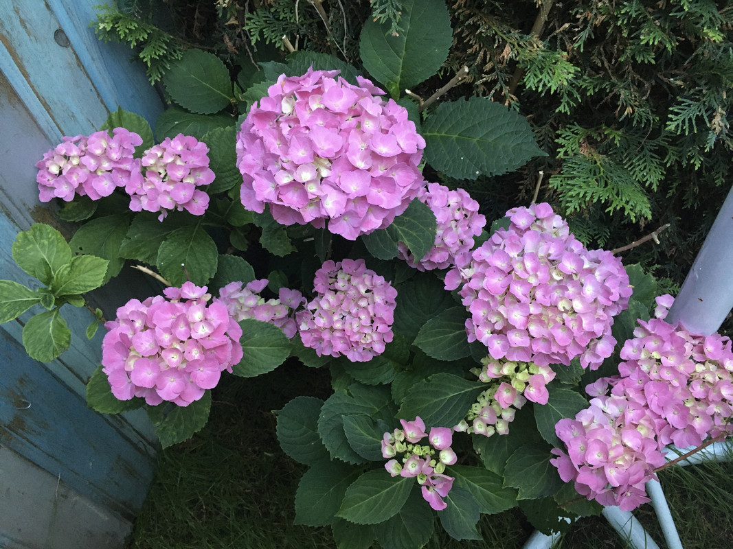 97EFA712-74DD-4728-9A93-3BE732BA10B5