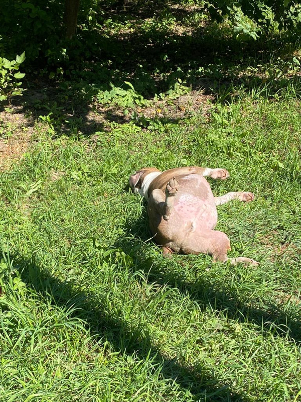 C1DE3A86-C79D-412D-8E92-C207D217AB39