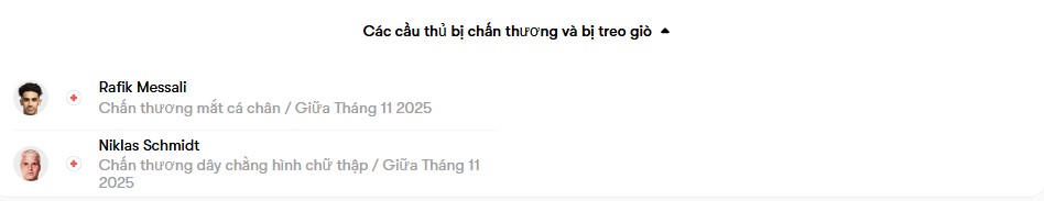 luc luong Toulouse FC vs Le Havre AC