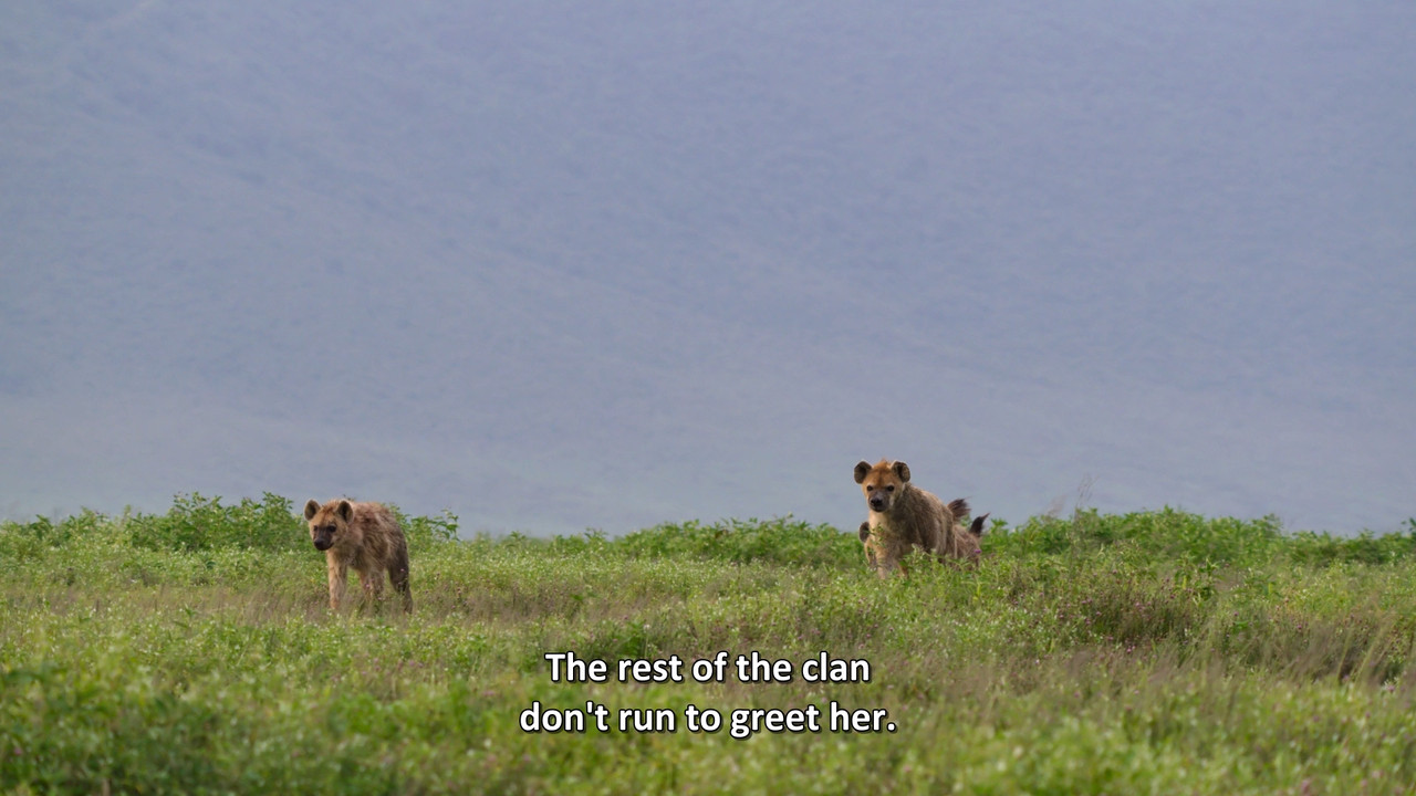 Queens  S01E01 Disney  1080p WEB DDP x264-NM21vi.mkv_snapshot_17.45.064