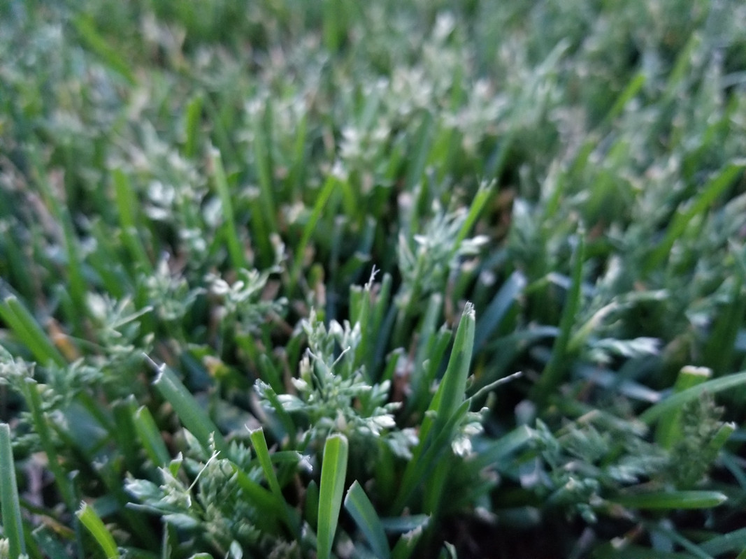 15579748060438066200872655494660