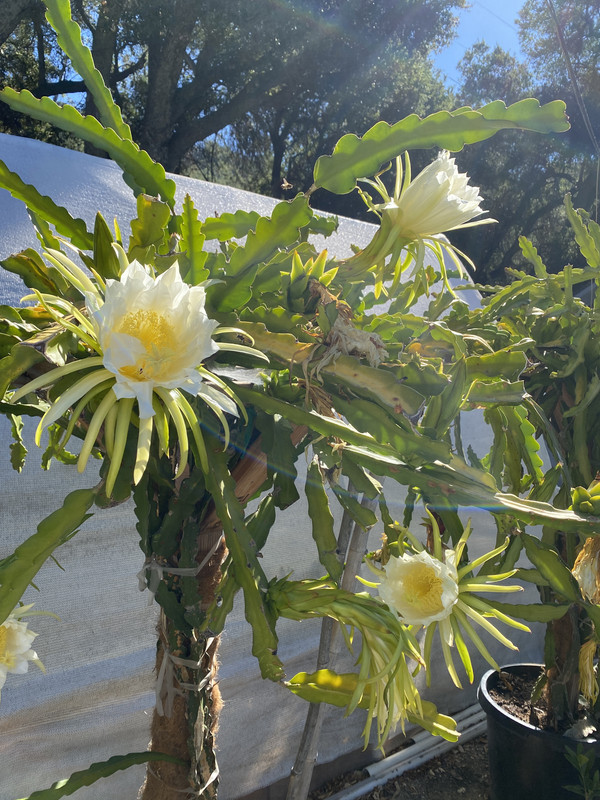 B0EB2A30-A37E-47CD-BFC1-2A788F2D7143