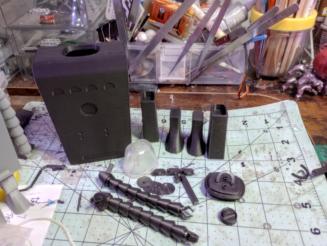 Chani Cory Collins (5)