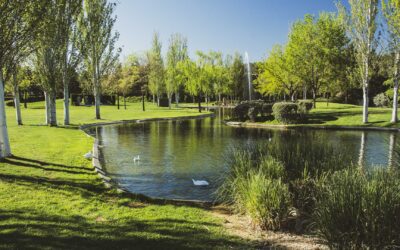 Foto cedida por Ayuntamiento de Alcalá